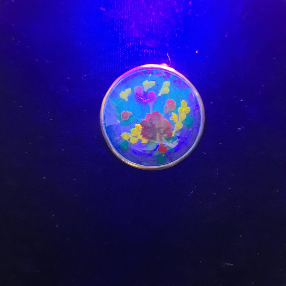 Vtg Signed Alpaca Mexico Dried Flowers Lucite Brooch or CharmGlows